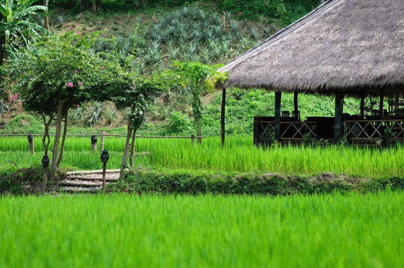 Kamu Lodge Pak Ou Exteriér fotografie